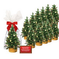 12-Mini Tree Decorating Kits
